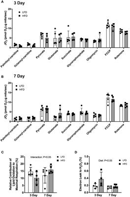 Short-Term High-Fat Feeding Does Not Alter Mitochondrial Lipid Respiratory Capacity but Triggers Mitophagy Response in Skeletal Muscle of Mice